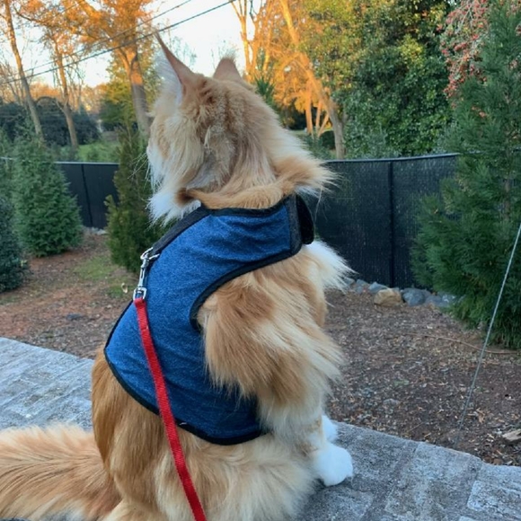 Namaste - Picture 8 of 16